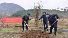 广西艺术学校开展乡村振兴帮扶联系工作暨冬春农田水利建设师生植树造林活动